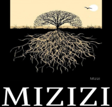 Mizizi Management Ltd logo