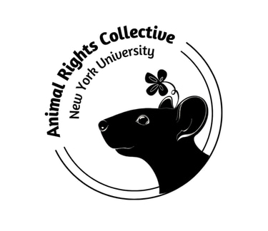 NYU ARC logo