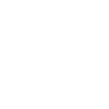 Net Pizza Eventos logo