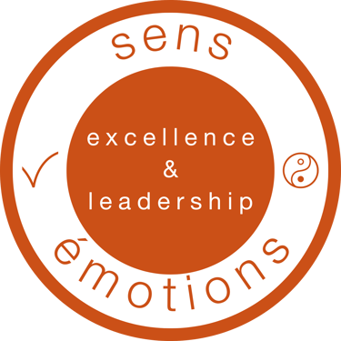 sens ∞ émotions logo