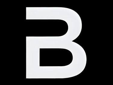 BLACK CAR SERVICE GLOBAL logo