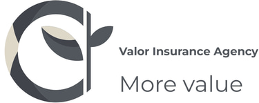 Valor Insurance logo