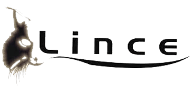 Academia Lince logo
