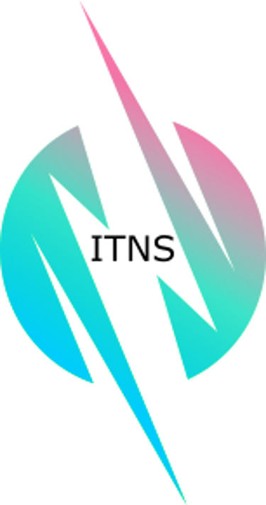 IT Network Systems, LLC logo