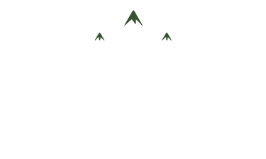 Swiss Four Season Murree logo