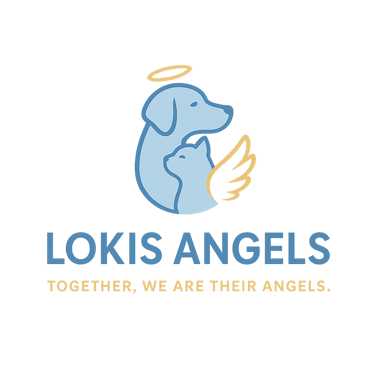 LOKIS ANGELS logo