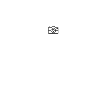 Partivent logo