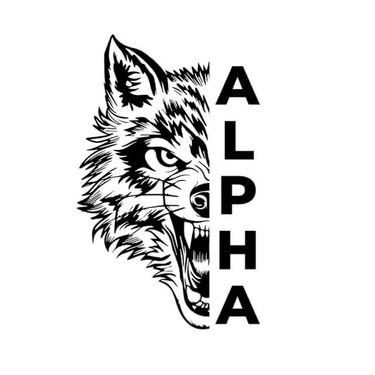 ALPHA 511 logo
