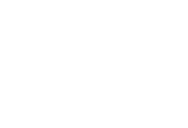 LeFenci logo