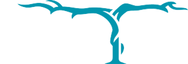 Vinatus Premium Winery logo