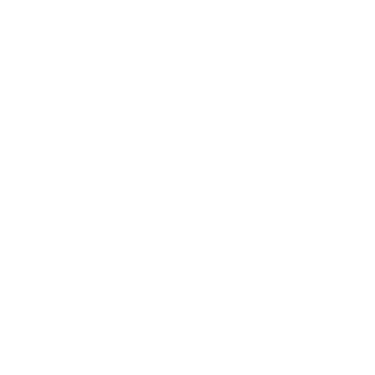 Travelling Tutors logo