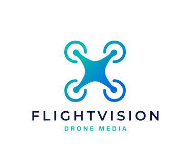 FLIGHTVISION logo