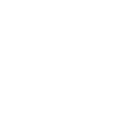 Lot Line Pros LLC logo