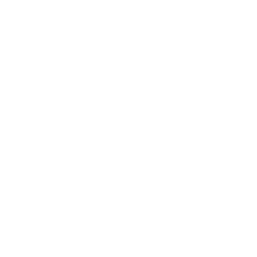 ZS-Vitre logo