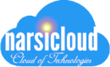 narsicloud logo