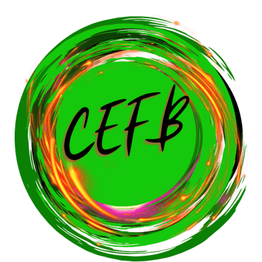 CEFB Integrative Life Coaching logo