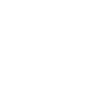 Evasion Express logo