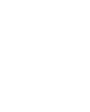 Lissandra Digital - Brand Designer logo