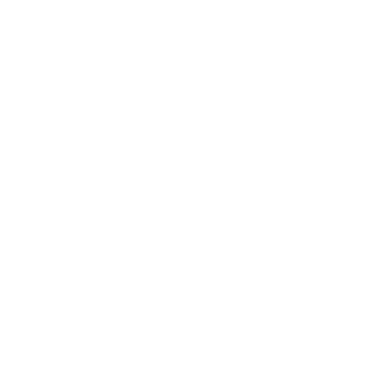 Von Konig logo