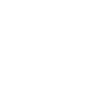 Adrià Solà Pastor logo