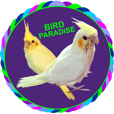 Florida Bird Paradise logo