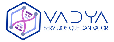 VADYA Services logo