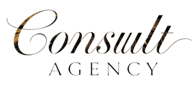 CONSULT AGENCY logo