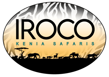 Iroco Travel logo