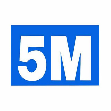 5M India logo