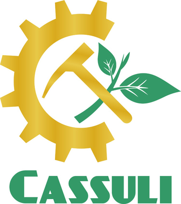 Consutoria Cassuli logo