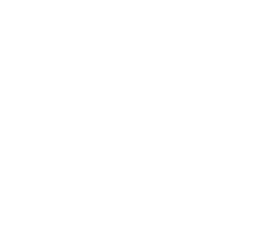Netherink logo