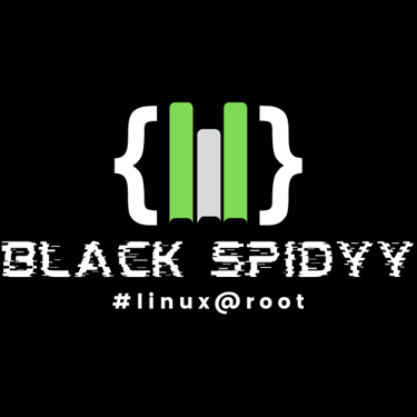 BlackSpidyy logo