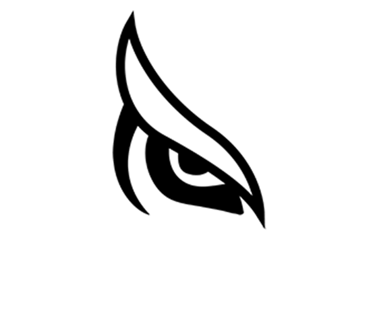 TRIUMPH ASESORIA ADMINISTRATIVA logo