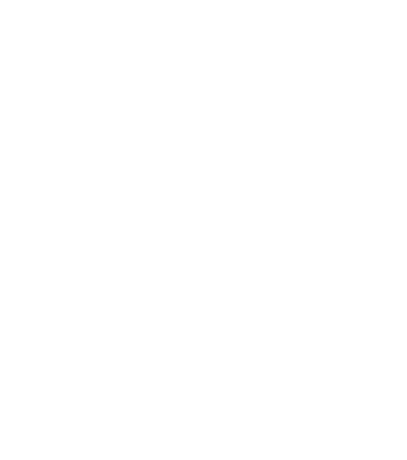 Bichi's Pepper Sauce logo