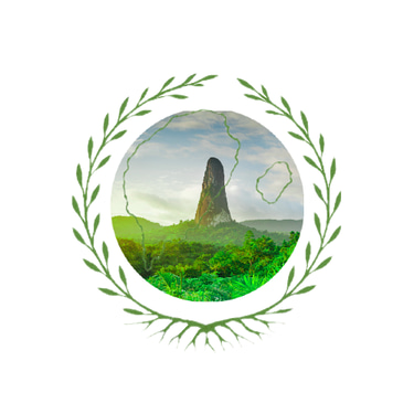 São Tomé Tours logo