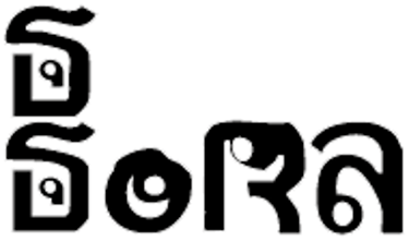 BORA logo