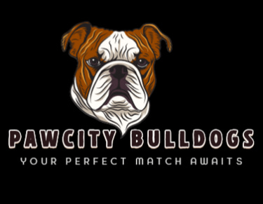 PawCity Bulldogs logo