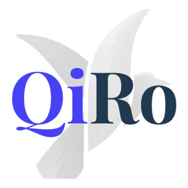 Qiro Digital Group Pte Ltd logo
