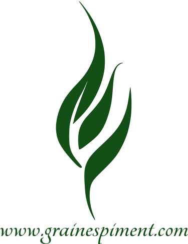 grainespiment logo