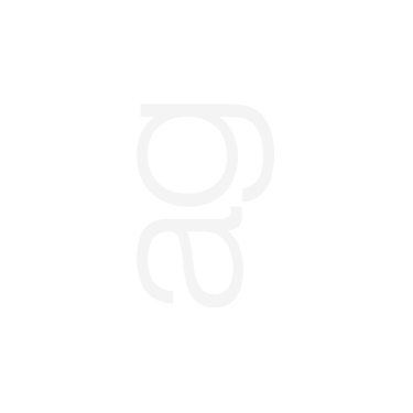 Ana Gabriela logo