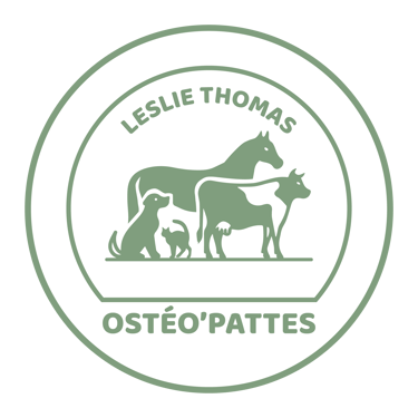Leslie Thomas - Ostéo’pattes logo