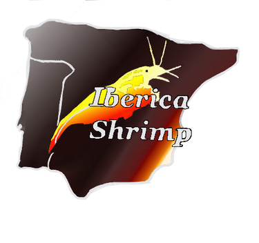 ibericaShrimp logo