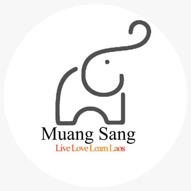 MS Travel Laos logo