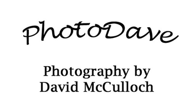 Photo Dave  logo