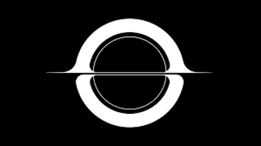 Nirjan International logo