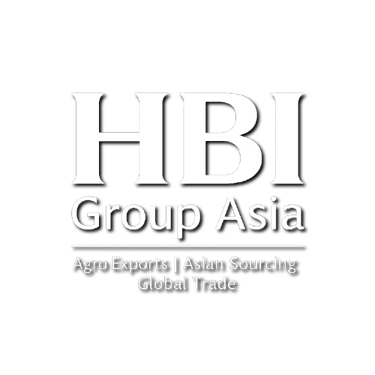HBI GROUP ASIA logo