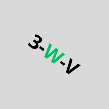 3rd world view logo