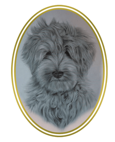 Doodle Trimsalon Coya logo