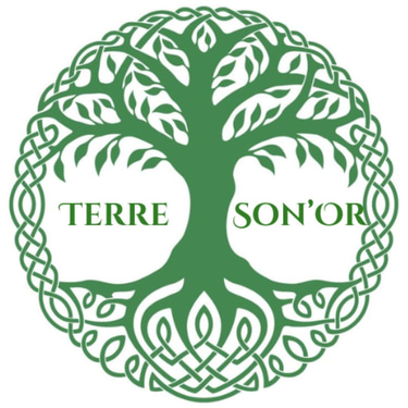 Terre Son'Or logo