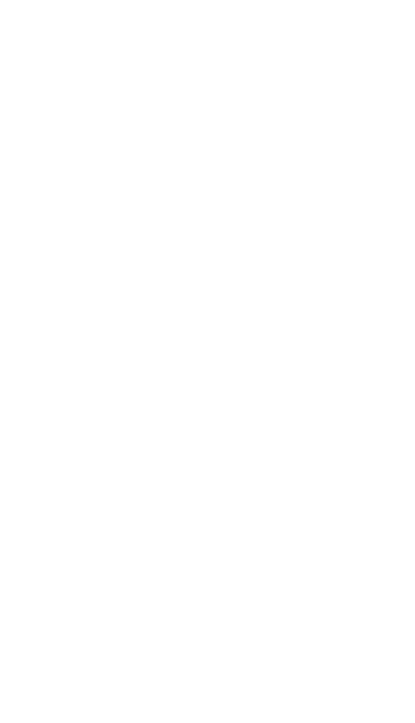 semerjian design & build logo